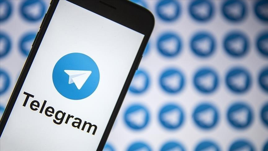 Telegram GIF 表情包示例